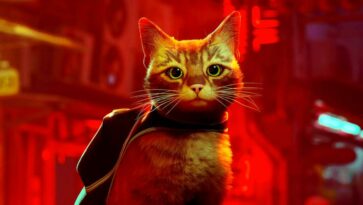 60 – Stray GATY del año