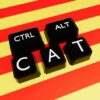 CONTROL + ALT + CAT