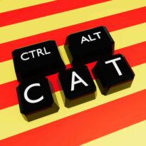 7 – Els videojocs són per tothom?