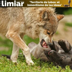 Territorio de lobos: el inmovilismo de las ideas Territorio de lobos: el inmovilismo de las ideas