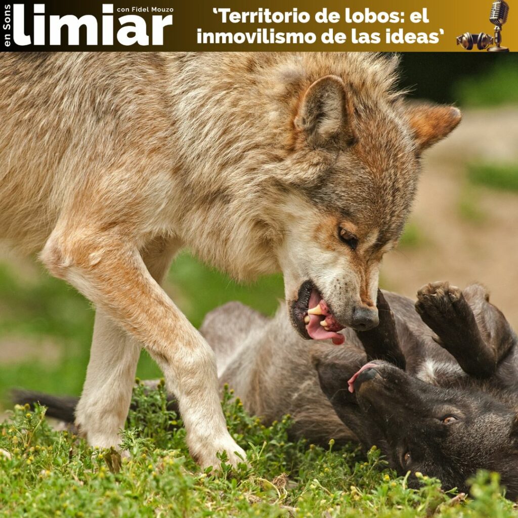 Territorio de lobos: el inmovilismo de las ideas